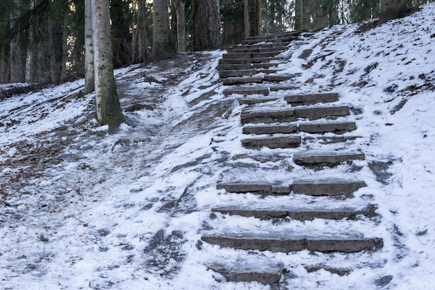 Snow on an old ladder with stone steps in the winter park