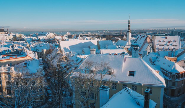 Снежный Старый Таллинн, Эстония. Большой снег в Таллинне