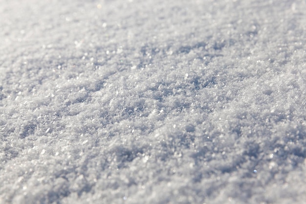 写真 地面に雪