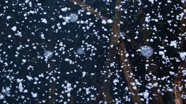 写真 氷の表面の雪