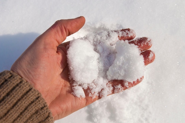 白い雪の上の手のひらの上で雪