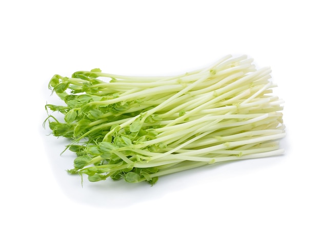 Snow Pea Sprouts on White Background