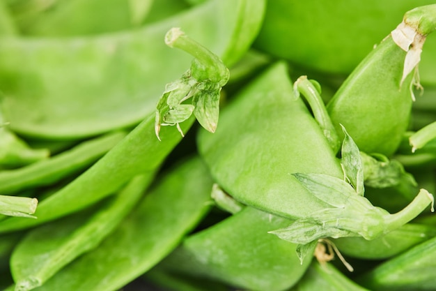 サヤエンドウはエンドウ豆とさやの両方が食べられるマメ科植物です