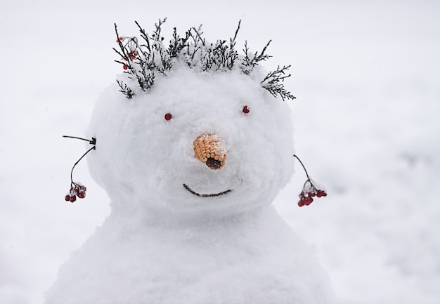 Photo snow sculpture, snowman, winter fun