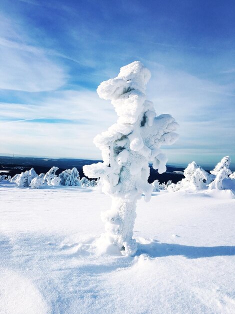 Snow on shore against sky during winter