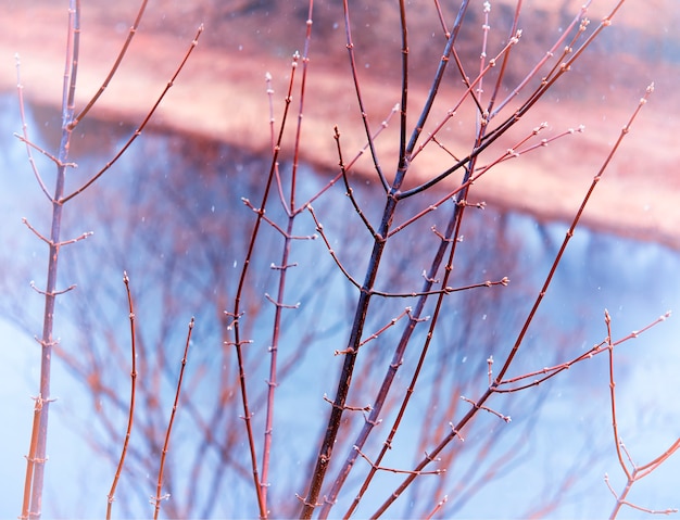 春の背景hdで雪