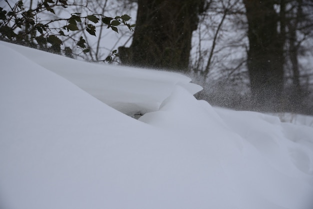 Snow during a storm close up