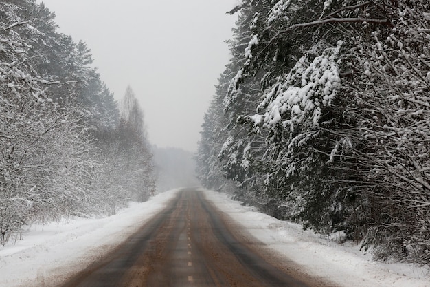 写真 冬の道路で吹雪