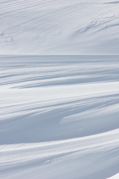 雪面