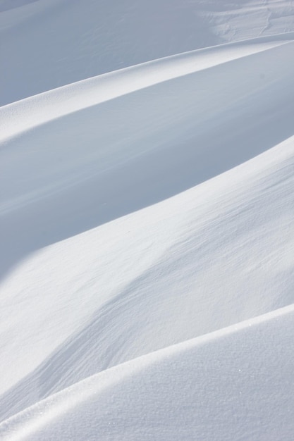 雪面