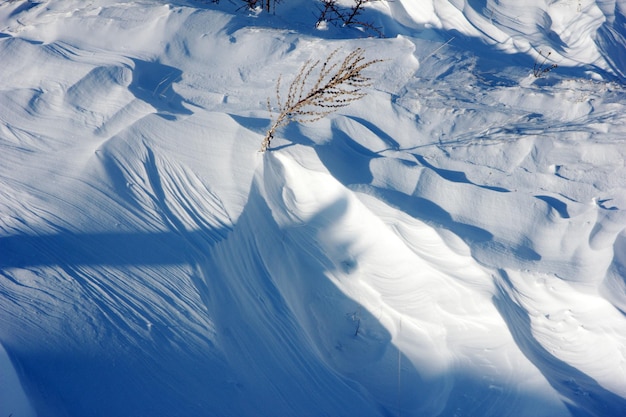 雪面