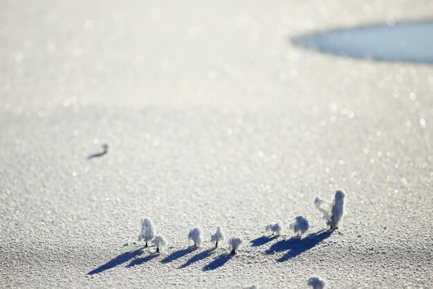 Photo snow texture white blue background