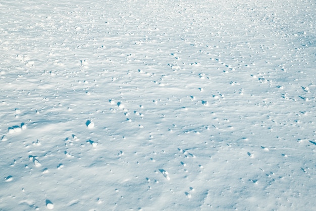 Struttura della neve o fondo di bianco di inverno