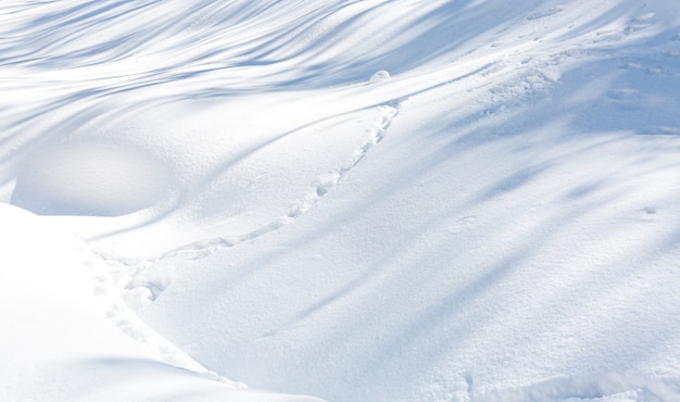 雪のテクスチャ