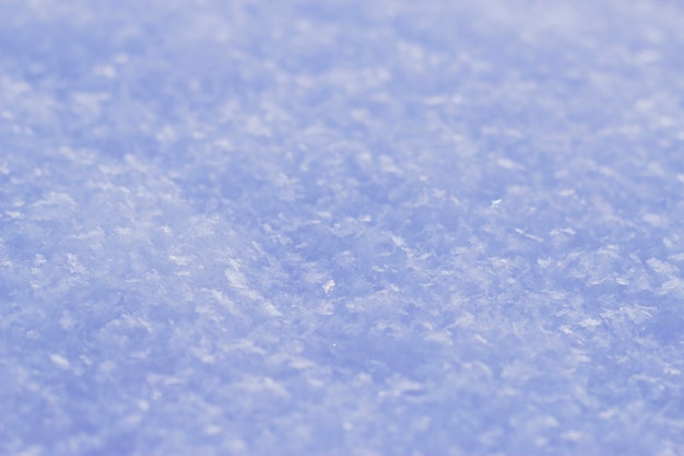 snow textured surface in frosty day with close up