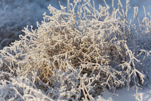 Snow textures christmas patterns closeup