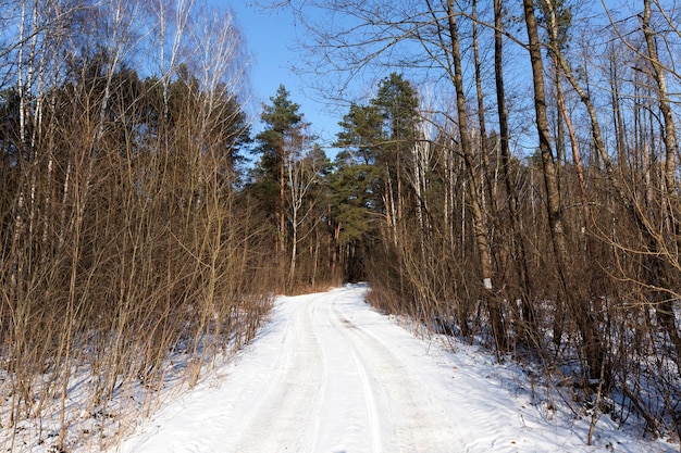 Snow that fell during a snowfall on the road, road in the winter season, snowfall in the winter season and the road is not paved