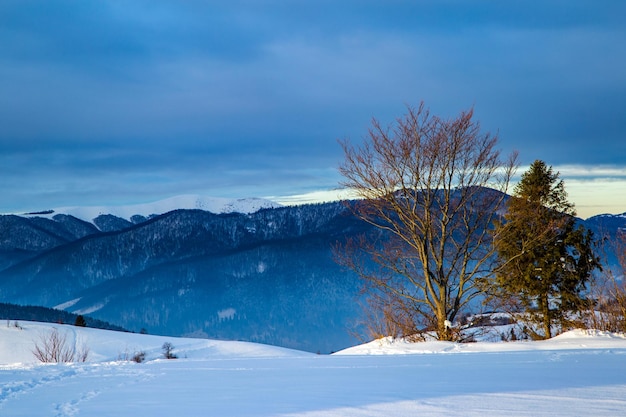 Neve in cima alle montagne sullo sfondo dell'albero e sulle montagne del cielo tra le nuvole