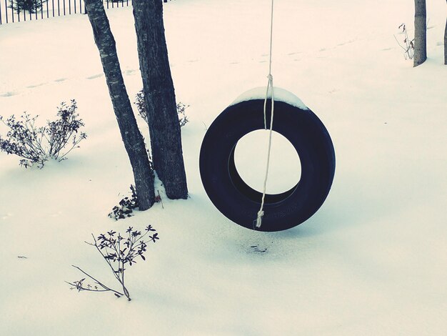 Photo snow on tree