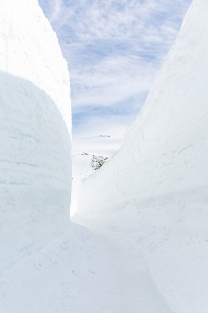 館山黒部アルペンルートの雪壁