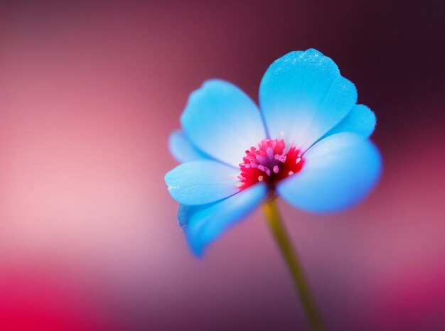 Snow white memories forgetmenot flower in pure gradient