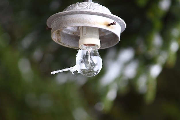 Under The Snow In A Winter Day Frozen Lamp In Snow