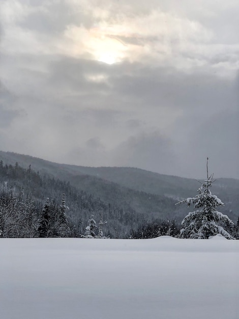 Paesaggio invernale di neve