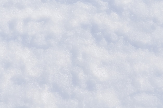 Snow winter texture