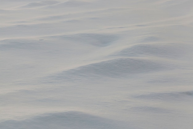 冬の雪