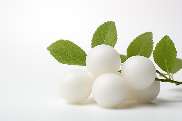 Snowberry with green leaves on white background closeup