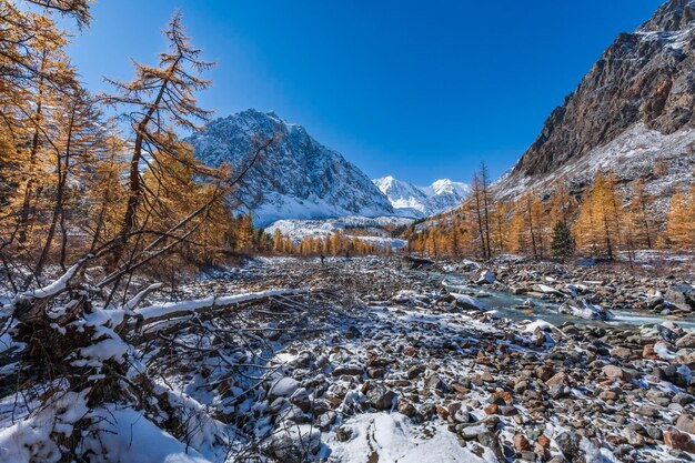 写真 雪に覆われたアルタイ山脈 アクトル氷河 アルタイ山脈 ロシア