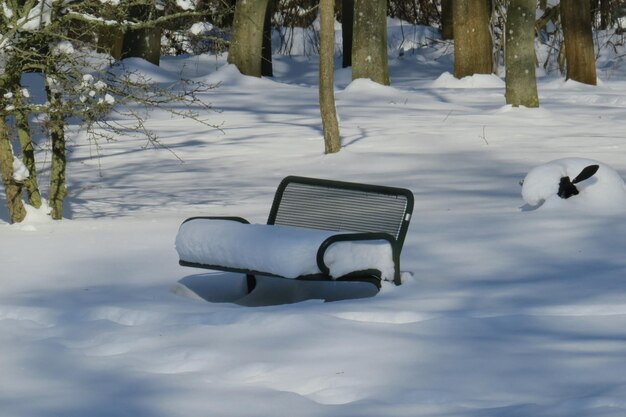 Фото Снежная скамейка в парке