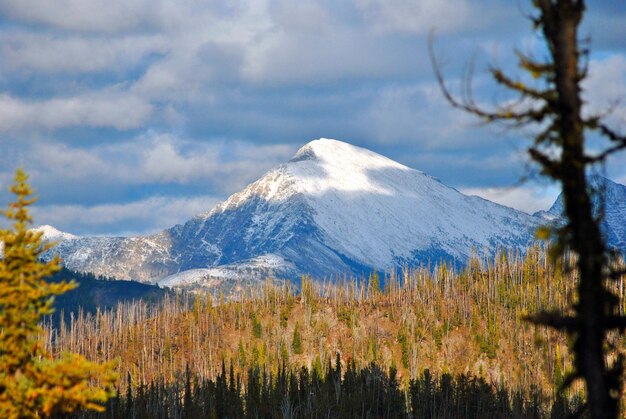 Snowcapped mountain against sky