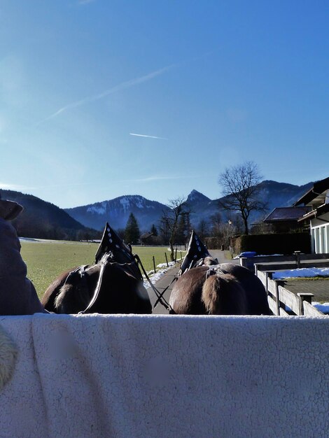 Snowcapped mountain in rottach-egern