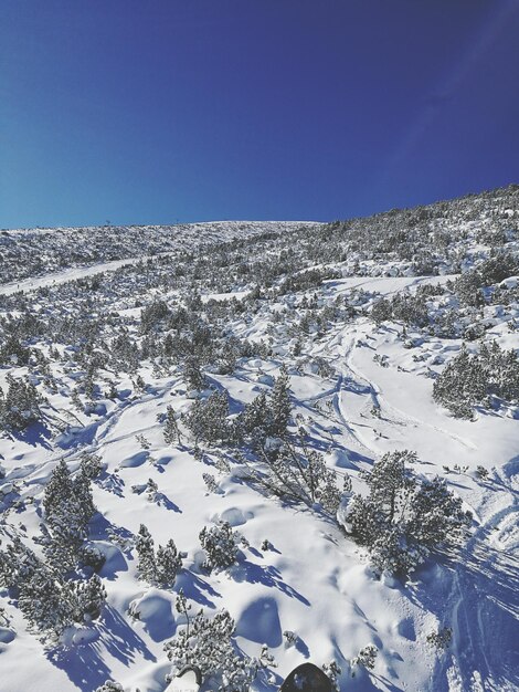 Foto montagne innevate contro un cielo blu limpido