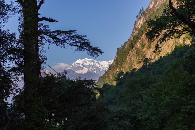 Snowcapped peaks in the distance through the villages