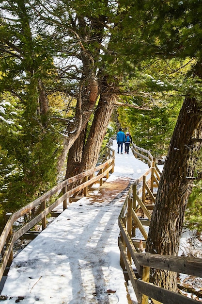 Snowcovered boardwalk trail through the woods with pair of tourists