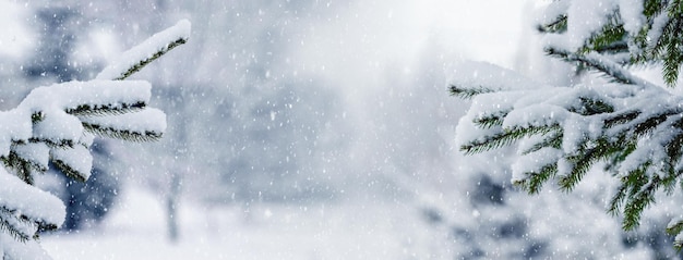 Abeti innevati in un parco invernale durante una nevicata carta di natale e capodanno