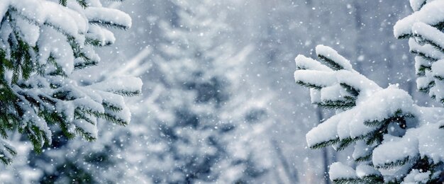 Заснеженные ели в зимнем парке во время снегопада на рождественскую и новогоднюю открытку