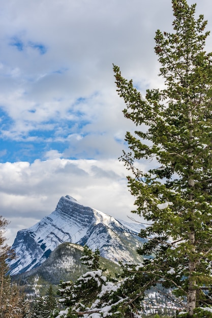 snowcovered mount rundle with snowy forest banff national park canadian rockies alberta canada