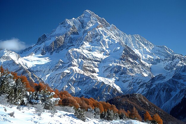 澄んだ青い空の下の雪に覆われた山頂