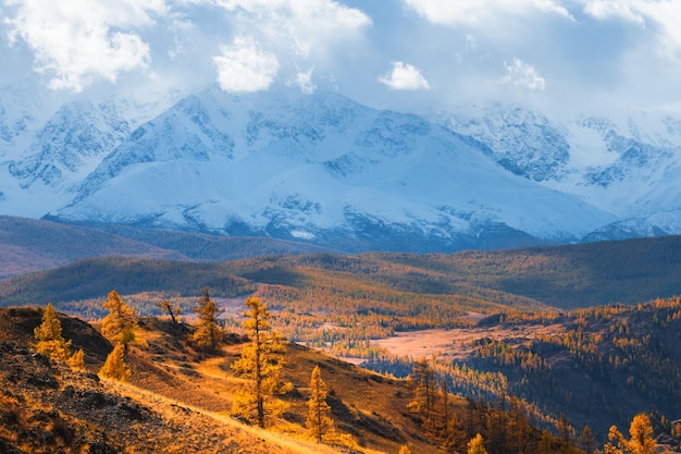 Snowcovered mountains with clouds and yellow autumn trees at sunset Kurai steppe in Altai mountains Siberia Russia View of NorthChuya ridge