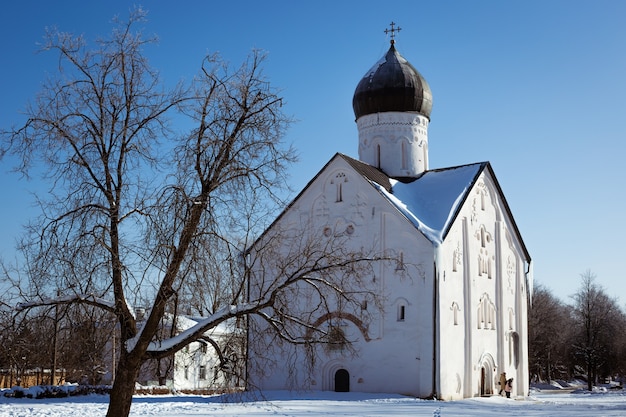 A snowcovered orthodox church and a tree against a blue sky