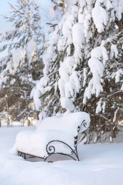 A snowcovered park bench on a sunny day Selective focus