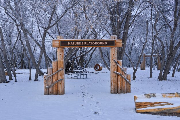 A Snowcovered Park