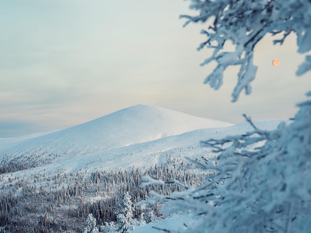 Snowcovered polar cone hills in winter early in the morning Winter polaris pastel colors landscape View of the snowcovered hills Cold winter weather Harsh northern climate background