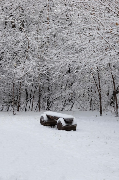 Snowcovered trees and A bench in the city park Winter fairy tale