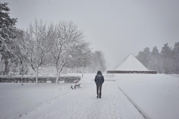 Snowcovered trees on a city boulevard and walk people at winter