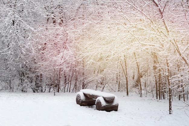 Snowcovered trees and xAbench in the city park Winter fairy tale