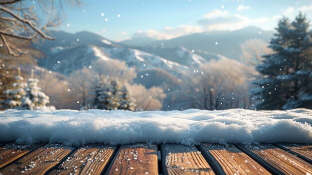 SnowCovered Wooden Deck by Forest